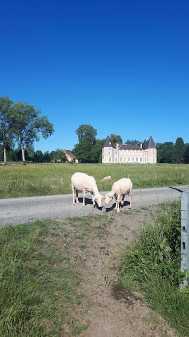 Gite A La Ferme, Avec Animaux, Fromages Et Nature Neuville-les-Decize Exterior photo
