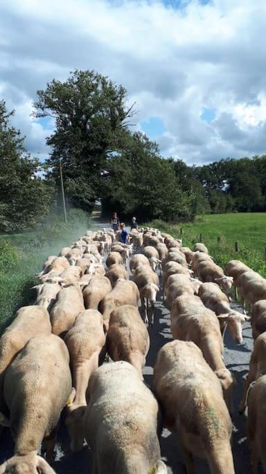 Gite A La Ferme, Avec Animaux, Fromages Et Nature Neuville-les-Decize Exterior photo