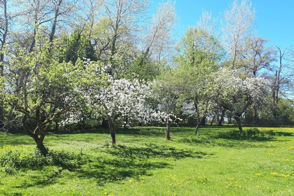 Gite A La Ferme, Avec Animaux, Fromages Et Nature Neuville-les-Decize Exterior photo